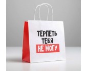Пакет подарочный «Терпеть тебя не могу»